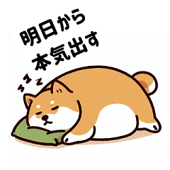 [LINEスタンプ] わがままボディ柴丸の日常スタンプ