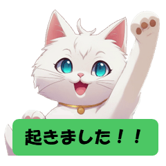 [LINEスタンプ] 白ネコの日常会話スタンプ"修正版"