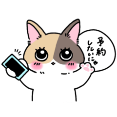 [LINEスタンプ] 予約・連絡で使いやすい！あおいと猫達