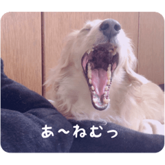 [LINEスタンプ] ピーターくんの非日常