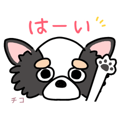 [LINEスタンプ] うちの犬たちの日常スタンプ