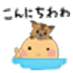 [LINEスタンプ] Animals on my head