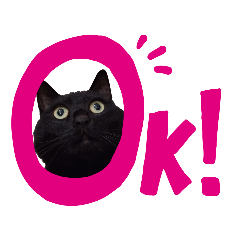 [LINEスタンプ] BlackCatRUDY★Sticker2