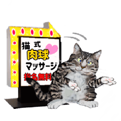 [LINEスタンプ] 目ぢから チラ集