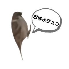 [LINEスタンプ] スズメのズズちゃんのスタンプ