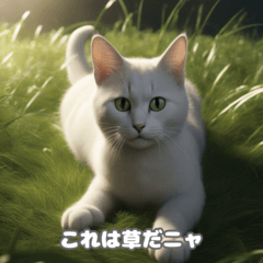 [LINEスタンプ] 猫の日常ミームスタンプ