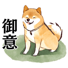 [LINEスタンプ] 武士に憧れる柴犬