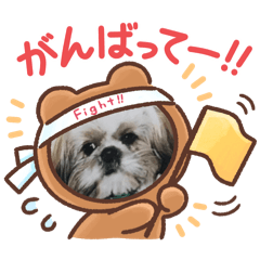 [LINEスタンプ] あいさつ シーズーのぱとちゃん