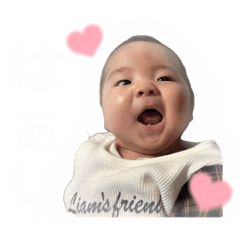 [LINEスタンプ] とりちゃんdaysの画像（メイン）