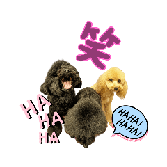 [LINEスタンプ] 仕事でも使えるスタンプ♡星夢心音