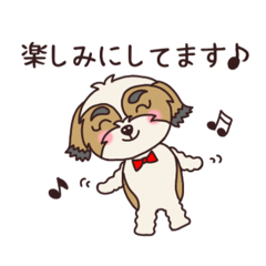 [LINEスタンプ] おてんばシーズーさんの日常スタンプ