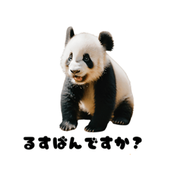 [LINEスタンプ] たたかうパンダさん