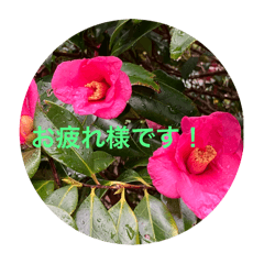 [LINEスタンプ] 冬景色1