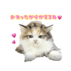 [LINEスタンプ] うるうるみーたん