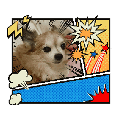 [LINEスタンプ] 私の愛犬、もかちゃんの日常