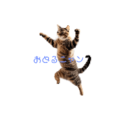 [LINEスタンプ] おどるニャン