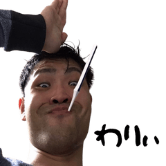 [LINEスタンプ] きんぐおぶひらし