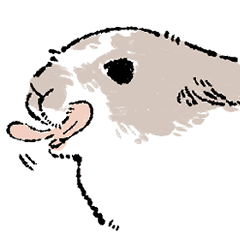 [LINEスタンプ] 茶ぶちのうさぎ