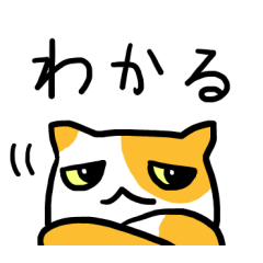 [LINEスタンプ] これだけで割と会話が成立しがちな猫ちゃん