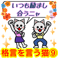 [LINEスタンプ] 格言を言う猫⑨ ★いつも励まし合う★