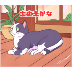 [LINEスタンプ] 家でくつろぐ猫