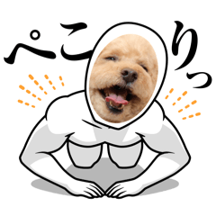 [LINEスタンプ] 我が家のププさん