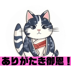 [LINEスタンプ] レトロキヤツトスタンプ〜サムライ語〜