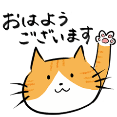 [LINEスタンプ] funny cat ほっこり猫2