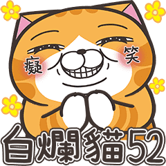 [LINEスタンプ] ランラン猫 52 (台湾版)の画像（メイン）