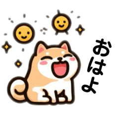 [LINEスタンプ] 柴犬のほのぼの日常