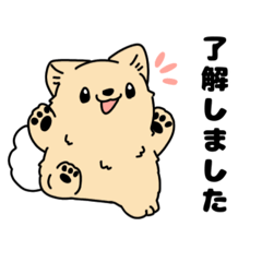 [LINEスタンプ] ポメラニアンの丁寧語スタンプ