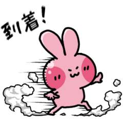 [LINEスタンプ] かおテカうさぎさんの日常