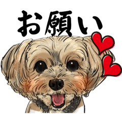 [LINEスタンプ] ヨープーのポラーくん