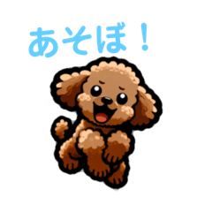 [LINEスタンプ] 元気なトイプードルのスタンプ