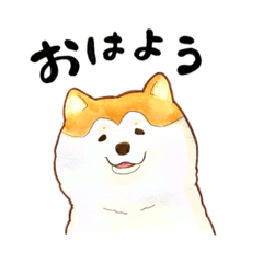 [LINEスタンプ] 秋田犬・オータム！！2 フレンズ編