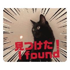 [LINEスタンプ] 黒猫ルディ★動く気持ち2