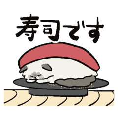 [LINEスタンプ] 日常で使えるルイにゃんスタンプ