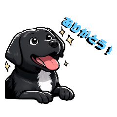 [LINEスタンプ] THE DOGRUNスタンプ 黒犬チョコ