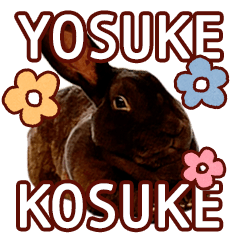 [LINEスタンプ] ようすけ＆こうすけ！