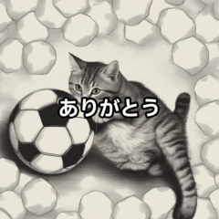 [LINEスタンプ] 猫とサッカーボール