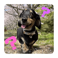 [LINEスタンプ] マロ第4段