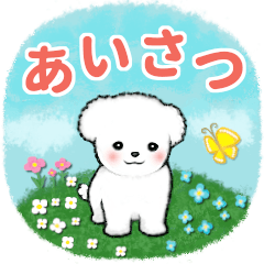 [LINEスタンプ] 【挨拶】白いトイプードル仔犬/修正版