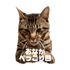 [LINEスタンプ] スモモくんスタンプ
