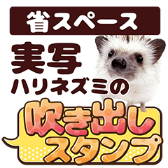 [LINEスタンプ] 省スペース*ハリネズミ吹き出しスタンプ