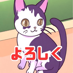 [LINEスタンプ] キュートな猫ちゃんスタンプ集