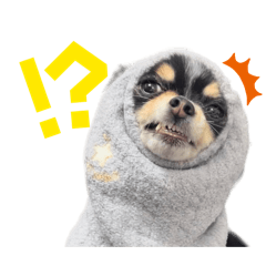 [LINEスタンプ] babyるぅ！やさぐれ編