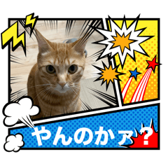 [LINEスタンプ] グリの挨拶