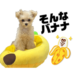 [LINEスタンプ] 癖が強いリロちゃんスタンプ
