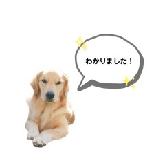 [LINEスタンプ] 日常 無難なスタンプ