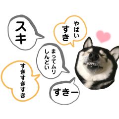 [LINEスタンプ] ちょっぴり使える推し活スタンプ